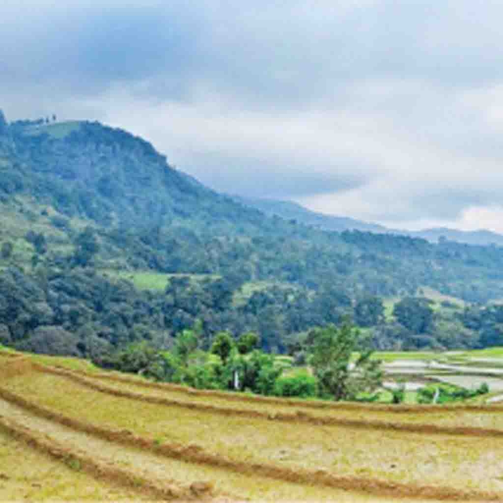 Sri Lanka Latest News