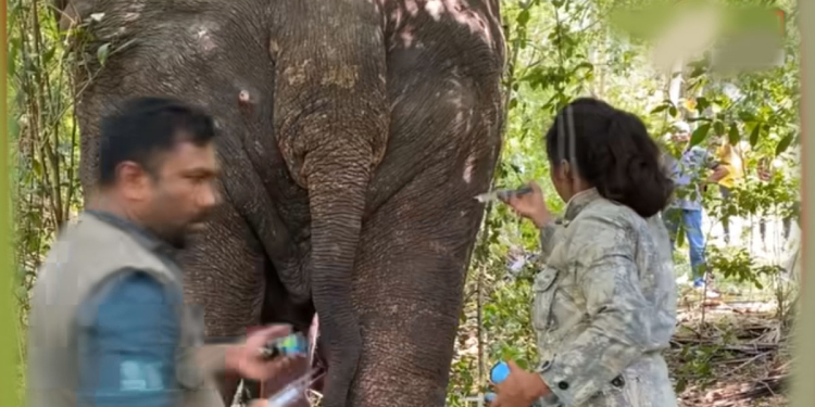 මාස ගානක් බෙහෙත් කරලා සුවය ලබමින් හිටපු අග්බෝට ආයෙත් වෙඩි තියලා! VIDEO ISri Lanka Latest News