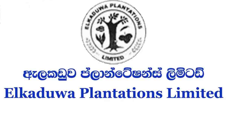 ඇල්කඩුව වතුයායේ ගැහිලි පිට ගැහිලි! සභාපතිටම ප්රධාන විධායක නිලධාරී තනතුරත් දීලා! දෙවරක් වැරදිකරු වූ අයෙක් සාමාන්යාධිකාරී කරලා! රුපියල් 400ක ගම්මිරිස් කිලෝ 2කට නඩු කියන්න ලක්ෂ 274ක් ගෙවලා! කෝප් එකේදී එකපිට එක එළියට එයි! තවත් ෆයිල් ගොඩක් අරන් සේවකයන් රනිල්-සජිත්-අනුර හමුවන්න සූදානමින්! VIDEO I Sri Lanka Latest News