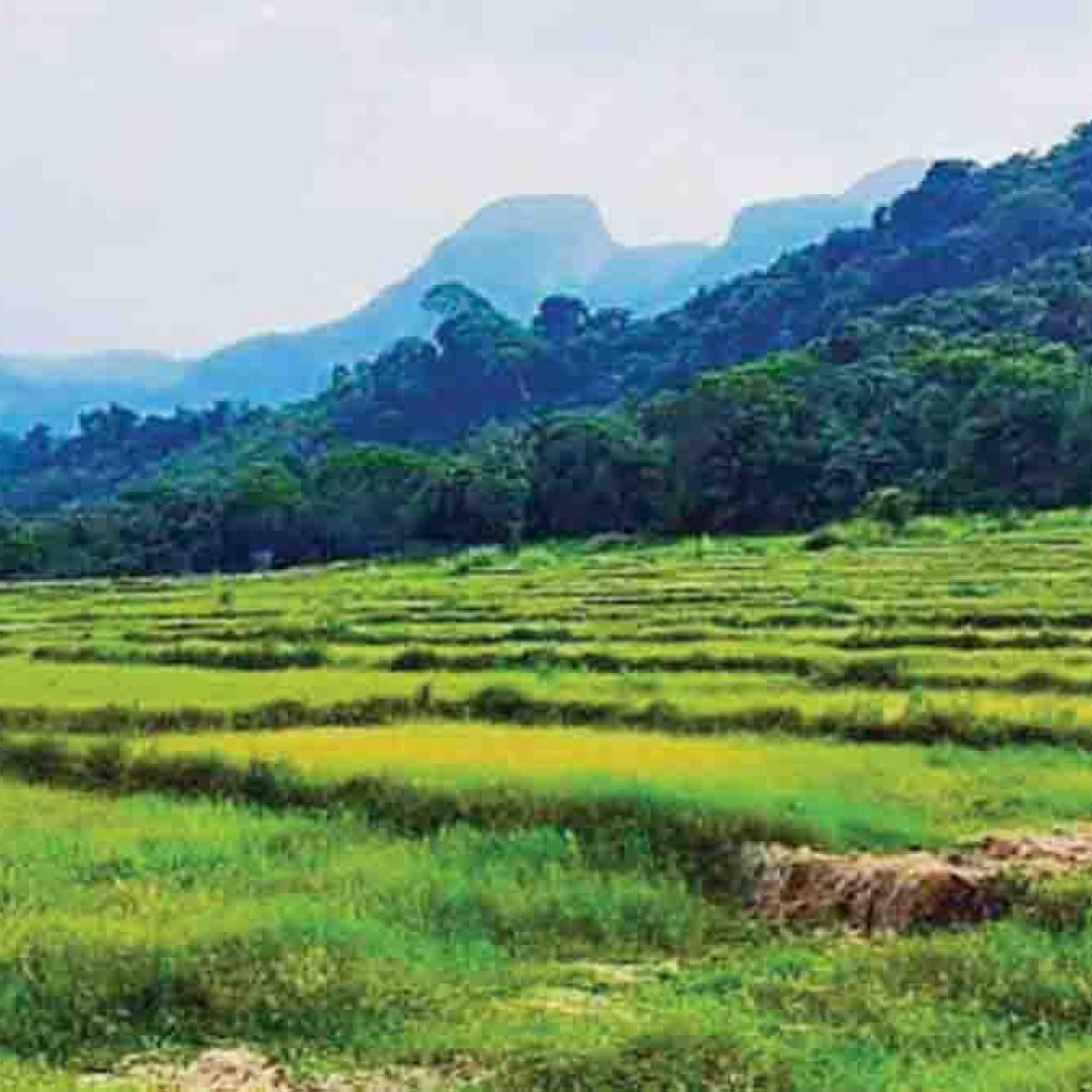 Sri Lanka Latest News