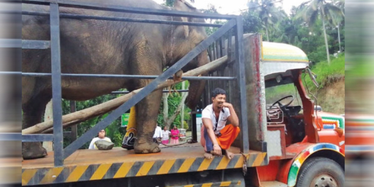 මහරගම සීතා ගෙදර යයි! Sri Lanka Latest News