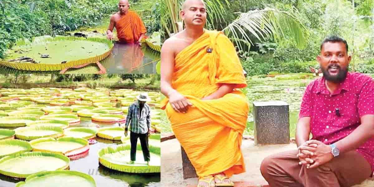 Sri Lanka Latest News