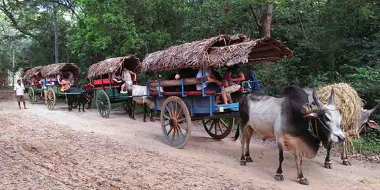 පෙට්රල්-ඩීසල් ගහලා ලෑස්ති වෙන්න කරත්තවලින් යන්න! ලබන අවුරුද්දේ සිට පෙට්රල්-ඩීසල්වලට 10%ක බද්දක් ගහනවලු! I Sri Lanka Latest News