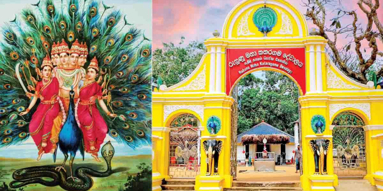 Sri Lanka Latest News