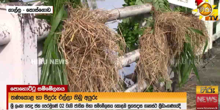 පොහොට්ටු සම්මේලනයට හතර වටෙන් බස් කොළඹට එයි! තැන් තැන්වල-සුගතදාසය වටේ තණකොළ-පිදුරු මිටි තියලා! VIDEO I Sri Lanka Latest News