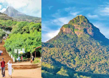 Sri Lanka Latest News