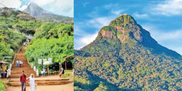 Sri Lanka Latest News