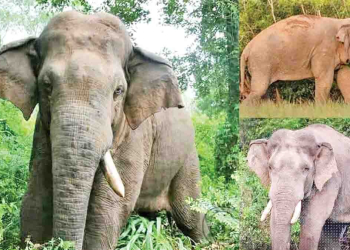 Sri Lanka Latest News