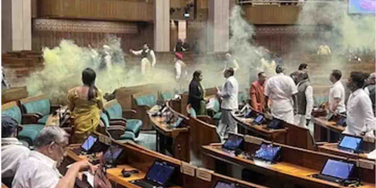 බැරියර් 5ක් කඩාගෙන ආපු කොල්ලො දෙන්නෙක් ඉන්දීය පාර්ලිමේන්තුවට දුම් බෝම්බයක් ගහයි! රාහුල් ගාන්ධිත් සභාවේ ඉඳලා! පොලිසියට කලින් මැතිඇමැතිවරු ඉක්මන් වෙයි! Sri Lanka Latest News