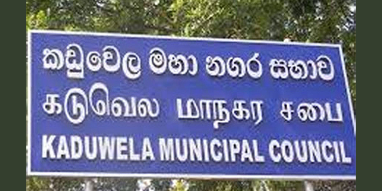 කඩුවෙල මහනගර සභාව පාරේ ඉන්න අහිංසක පිං හරක්වත් විකුණගෙන කන තත්ත්වෙට පත්වෙලා! කවුද මේ අමානුෂික වැඩේට අවසර දුන්නේ? VIDEO I Sri Lanka Latest News