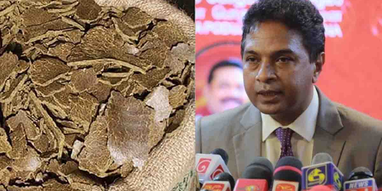 පොහොට්ටු සම්මේලනයේදී සාගර කාරියවසම් කළ කතාවට විරෝධය පා ජන අරගල ව්යාපාරය පුන්නක්කුත් අරන් පොහොට්ටු කාර්යාලයට එයි! ආරක්ෂක අංශ වහාම ආරක්ෂාව දැඩි කරයි! VIDEO I Sri Lanka Latest News