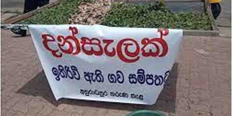 රටේ මී හරක් අඩුවෙලා! සතුටු හිතෙනවද දුක හිතෙනවද? I Sri Lanka Latest News