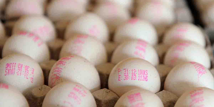VAT නිසා EGG වැඩිවෙනවා! I Sri Lanka Latest News