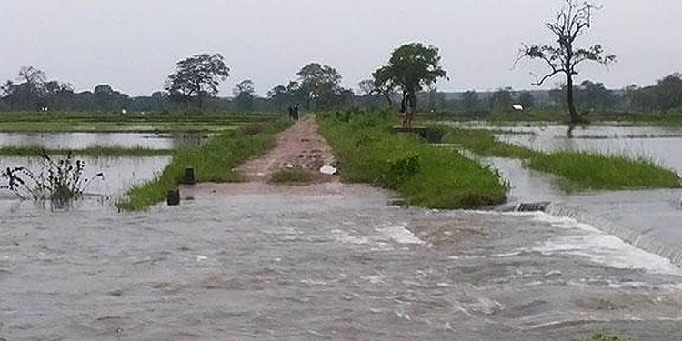 කුඹුරු 61000ක් ඉවරෙටම ඉවරයි! Sri Lanka Latest News