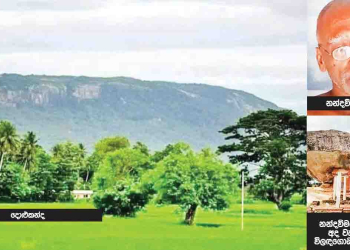 Sri Lanka Latest News