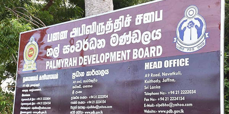 අනුර එක සභාපතිවරයෙත් දැම්මා.. සේවකයන්ගේ විරෝධය නිසා සතියක් ඇතුළත අයින් කළා! අනුර දෙවැනි සභාපතිත් පත් කළා! සේවකයෝ මෙන්න ආයෙත් පාරට බැහැලා විරෝධතා කරනවා! තල් සංවර්ධන මණ්ඩලයේ සභාපතිකමට දාන්න පිරිසුදු පුද්ගලයෙක් ඇත්තෙම නැද්ද? Sri Lanka Latest News