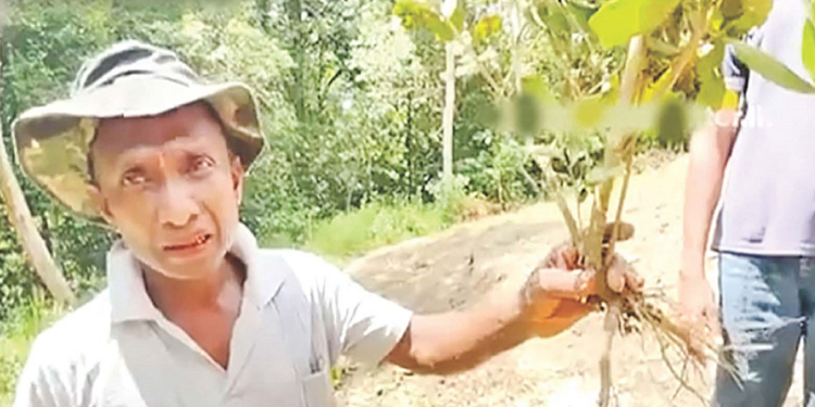 නෙළුවේ අක්කර 600ක් තියෙන කෝටිපතිනියක් අල්ලපු ඉඩම අල්ලගන්න දුප්පත් ගොවියෙකුගේ අක්කර දෙකක තේ වගාවක් ගලවා ගිනිතියලා! පොලිසියත් අල්ලගෙනලු ගේම ගහලා තියෙන්නේ! ගාල්ල දිසාව බාර නියෝජ්ය පොලිස්පතිට පැමිණිල්ලක්! Sri Lanka Latest News
