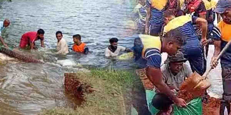 කඩාගෙන යන්න ඔන්න මෙන්න තිබ්බ අලුත්දිවුල්වැවේ වතුර කාන්දුව ගොවියො ලොක්කන්ට පෙන්නලා දීලා තියෙන්නේ මීට අවුරුදු 25කට කලින්! එකෙක් ඇහැක් ඇරලා බලලා නෑ! I Sri Lanka Latest News