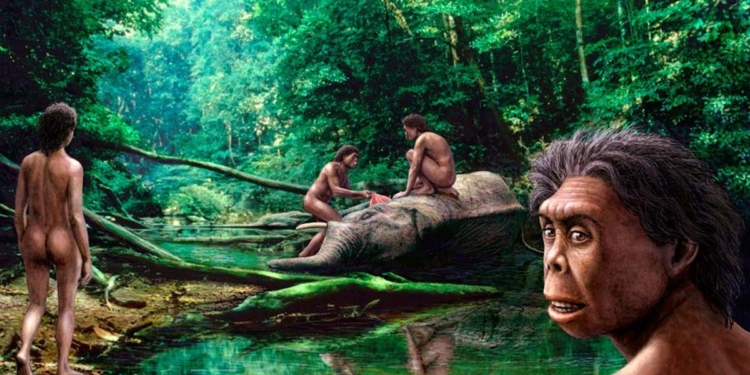 නිල්ගල කැලේ හැංගිලා හිටපු නිට්ටෑ මිනිස්සු! උස අඩි 4යි! මුළු ඇඟම ලොම්වලින් වැහිලා! මස් ඉරාදැමිය හැකි නියපොතු! Sri Lanka Latest News