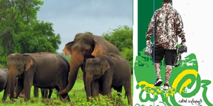 මාලිමා ආණ්ඩුවත් කරපු මරිමෝඩ වැඩේ! Sri Lanka Latest News