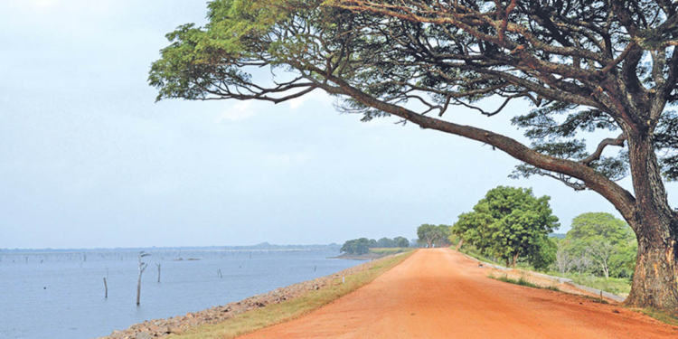 මේ මොන හෙණයක්ද? තවත් වැවක වැව් බැම්ම කඩාගෙන යයි! කුඹුරු විනාශයි! Sri Lanka Latest News