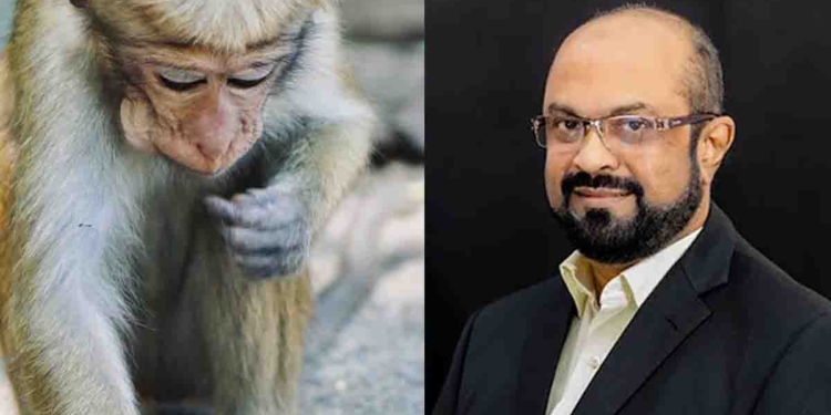 ‘මොන වඳුරෙක්ද මහත්තයෝ..? වඳුරා පැන්නා නම් කොහේ හරි ඉන්න එපැයි…! විශාල සද්දයක් ආවා..! දුමක් නැග්ගා..! කරන්ට් නැතිවුණා!’ පොල්වල රිලා කතාව වගේ ඇමැතිතුමාගේ වඳුරු කතාවත් ඉවරයි! VIDEO I Sri Lanka Latest News