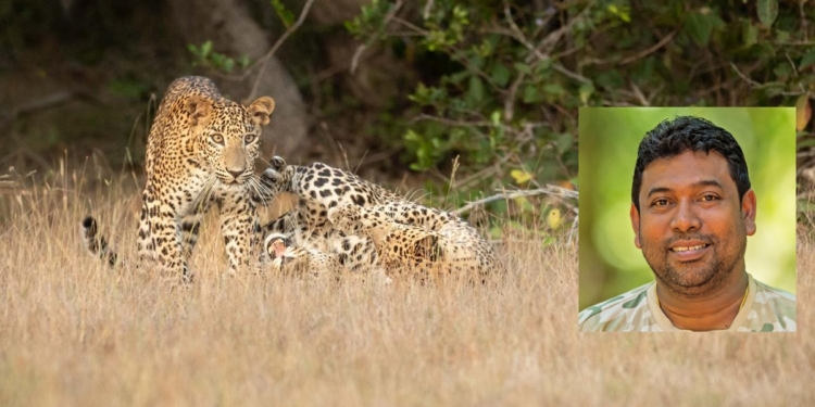 යාලේ 83යි – විල්පත්තුවේ 64යි – කුමන 39යි – හෝටන්තැන්නේ 7යි – උඩවලවේ 2යි – යාල කලාප පහේ 10යි – වස්ගමුවේ 1යි ! කොටි 206ක් එක්ක කැමරාවක්!