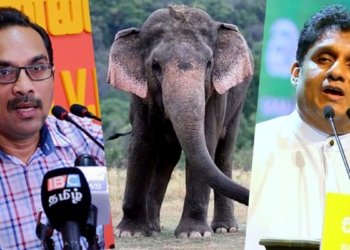 අලි ප්රශ්නෙට හරියටම උත්තරේ දුන්නේ ඇමැතිතුමාද? විපක්ෂ නායකතුමාද? Sri Lanka Latest News