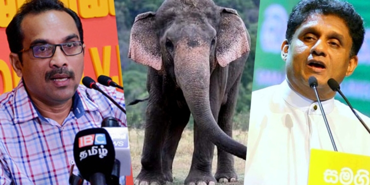 අලි ප්‍රශ්නෙට හරියටම උත්තරේ දුන්නේ ඇමැතිතුමාද? විපක්ෂ නායකතුමාද? Sri Lanka Latest News