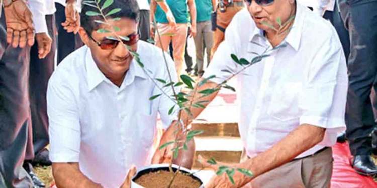 අලි-රාජාලි දීගය සහ අලි-ටෙලිෆෝන් දීගය! උපුල් ජෝශප් ප්‍රනාන්දුගේ ගුරුදා විග්‍රහය!  I Sri Lanka Latest News