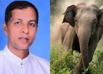 අලි සංවිධායක අලි ගහලා මරුට! Sri Lanka Latest News