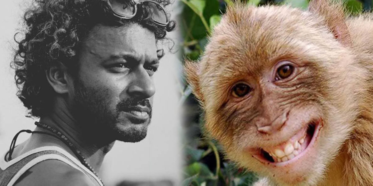 ආණ්ඩුව රිලව් අල්ලන වැඩේ පටන් අරන්! දාන්න දූපතකුත් හොයාගෙන! රිලා මෙහෙයුම සම්පූර්ණයෙන්ම බාර දීලා තියෙන්නේ නළු මන්ත්‍රී ජගත් මනුවර්ණට! VIDEO I Sri Lanka Latest News