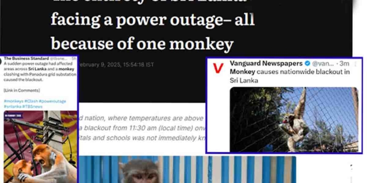 මුලු ලංකාවම කළුවරේ තියපු අපේ වඳුරා ජාත්‍යන්තරයටත් යයි! විදෙස් මාධ්‍ය රැසක් ඇමැතිතුමා කියපු වඳුරාට ලොකු ප්‍රචාරයක් දෙයි!  I Sri Lanka Latest News