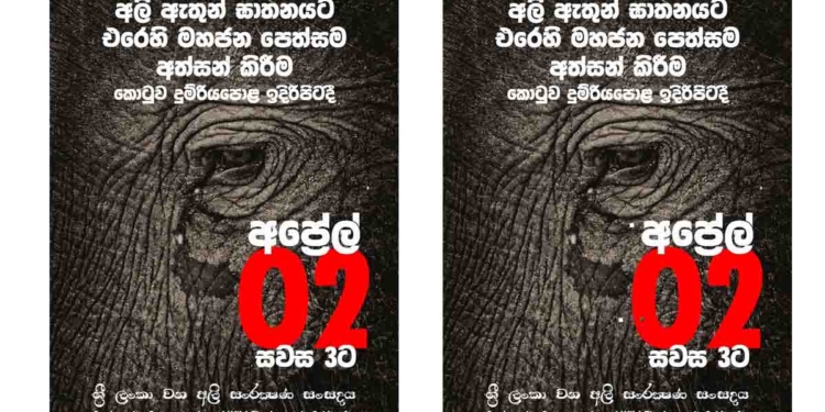 අලි ඇතුන් බල්ලො බළල්ලු වගේ මරා දානවා! මේකට එරෙහිව නැගී සිටින්න සියලු දෙනා අප්‍රේල් 2 සවස 3ට කොටුව දුම්රියපොළ ඉස්සරහට එන්න! අලි ඇතුන් මරා දමනවාට එරෙහිව ජනහඬ පෙන්වන්න! I Sri Lanka Latest News