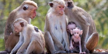 15 වැනිදා ගෙදරම ඉන්න! Sri Lanka Latest News