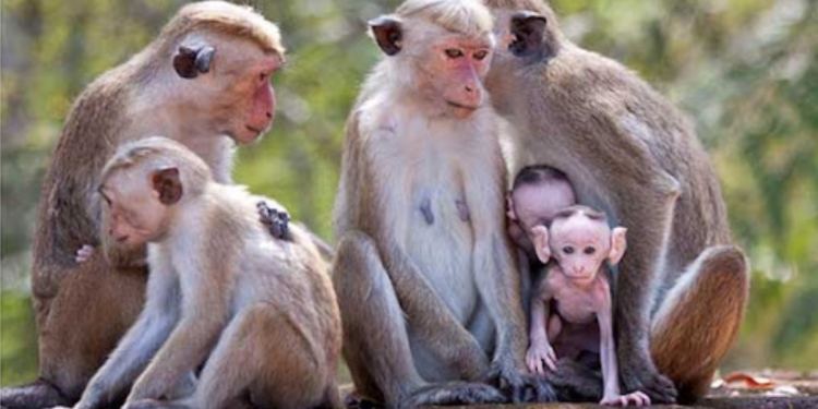15 වැනිදා ගෙදරම ඉන්න! Sri Lanka Latest News