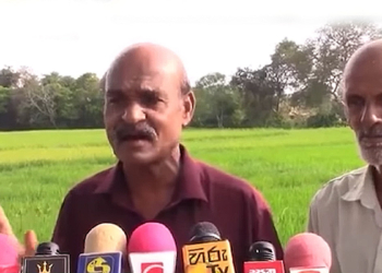 අයියෝ කෘෂිකර්ම නියෝජ්ය ඇමැතිගෙ රිලා ගැනිල්ලට එකට හිටපු ගොවියෝම හිනාවෙනවා! එදා අපිත් එක්ක කුඹුරට බැහැලා උද්ඝෝෂණ කරපු කෙනා..! එදා වීවලට අපිත් එක්ක 150ක සහතික මිලක් ඉල්ලපු කෙනා…! අයියෝ සංසාරේ…! VIDEO I Sri Lanka Latest News