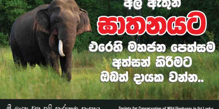 අලි ඇතුන් බල්ලො බළල්ලු වගේ මරා දානවාට විරුද්ධ සියලු දෙනා අද සවස 3ට කොටුව දුම්රියපොළ ඉස්සරහට එන්න! ජනහඬ පෙන්වන්න! පෙත්සමට අත්සන් කරන්න! PHOTOS I Sri Lanka Latest News