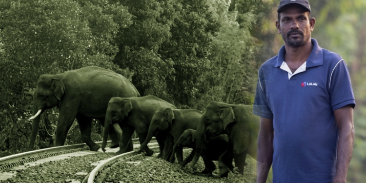 අලින්ට කරන සේවාවට අලියත් ඔළුව පාත් කරන කාසිකොටේ අලි කුමාර! Sri Lanka Latest News