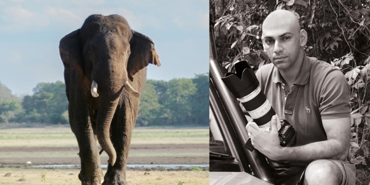බලි බැලුවට වඩා අලි බලපු වජිරගේ ඇහැ! Sri Lanka Latest News