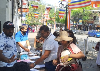 කොළඹ ආ කැලෑ අලි! PHOTOS I Sri Lanka Latest News
