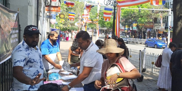 කොළඹ ආ කැලෑ අලි! PHOTOS I Sri Lanka Latest News