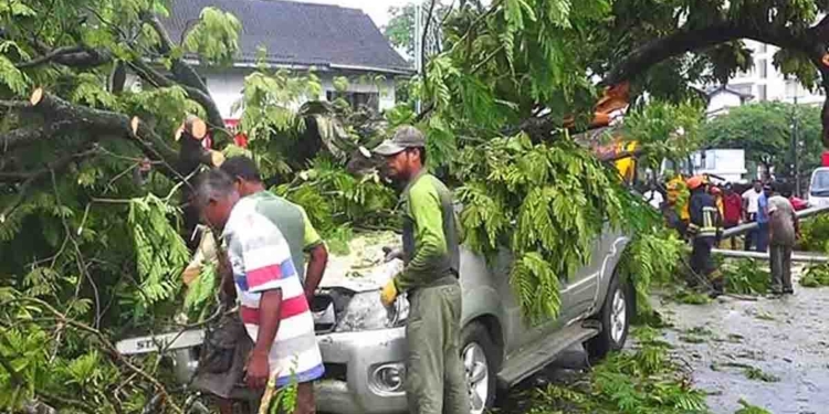 පුදුම දේවල්නෙ වෙන්නේ! කනත්ත වටරවුමේ ගහක් කඩන් වැටිලා වාහන 7ක් ඉවරයි!  I Sri Lanka Latest News