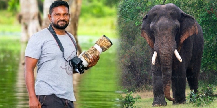 අල්විස් පරම්පරාවේ තාත්තාගෙන් පුතාට ආ අලි පිස්සුව! Sri Lanka Latest News