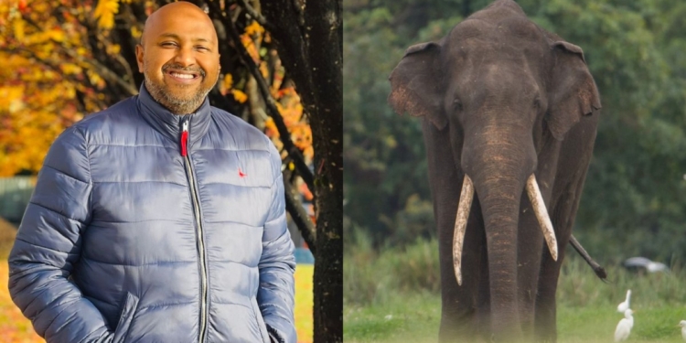 ලංකාවේ අලි පොත හදපු මිලින්ද! Sri Lanka Latest News