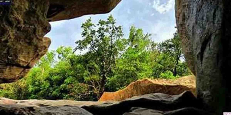 ලෝක පරිසර දිනයට ලංකාවෙන් හෙක්ටෙයාර 40000ක වනරක්ෂිතයක්! I Sri Lanka Latest News