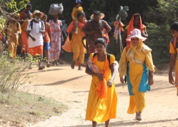 හරෝ හරා…. යාල මැදින් කතරගමට ආ බිහිසුණු ගමන! Sri Lanka Latest News