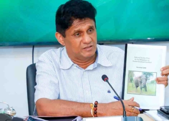 වෙඩි තියලා අලි මැරෙනවා! අද කෝච්චියටත් හැප්පිලා අලියෙක් දුක් විඳලා මළා! ලංකාවම ලස්සන කරවනවා වගේම විදේශ විනිමය උපද්දන සම්පතක් වූ වනජීවීන් රැකගන්න විපක්ෂනායක සජිත් ජාතික වැඩකට අතගහයි! PHOTOS I Sri Lanka Latest News