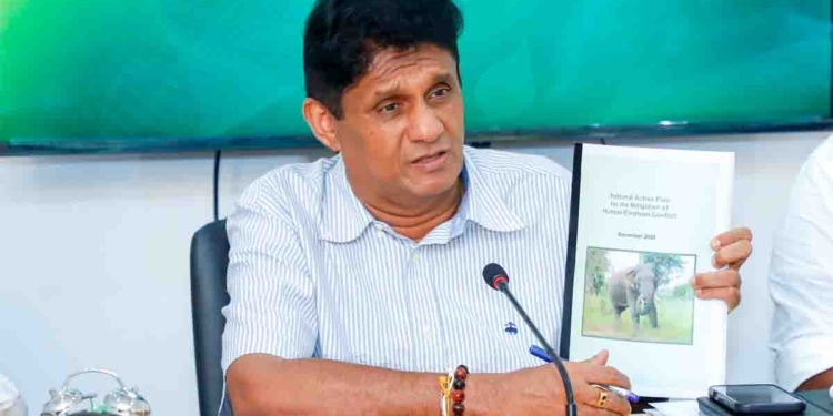 වෙඩි තියලා අලි මැරෙනවා! අද කෝච්චියටත් හැප්පිලා අලියෙක් දුක් විඳලා මළා! ලංකාවම ලස්සන කරවනවා වගේම විදේශ විනිමය උපද්දන සම්පතක් වූ වනජීවීන් රැකගන්න විපක්ෂනායක සජිත් ජාතික වැඩකට අතගහයි! PHOTOS I Sri Lanka Latest News