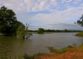 කෘෂිකර්ම ඇමැති ලාල්කාන්ත කිව්වා අද ඉඳන් අනුරාධපුර වැව් රක්ෂිතවල ගහපු හෝටල් අයින් කරනවා කියලා! මෙන්න වාරිමාර්ග නියෝජ්‍ය ඇමැති කියනවා අනුරාධපුර වැව් රක්ෂිත 22ක දේශපාලකයන් හෝටල් ගහලා කියලා! දැන් බලමු ඒ 22ම අයින් කරනවද කියලා! Sri Lanka Latest News